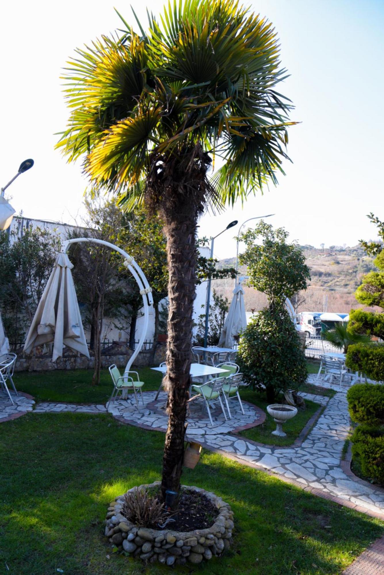 Hotel Restorant Halal Il Tramonto. Vorë エクステリア 写真